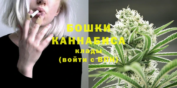 молекула духа Мегион