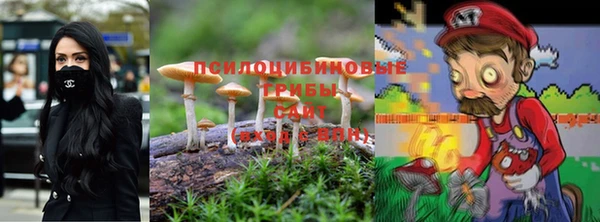 молекула духа Мегион