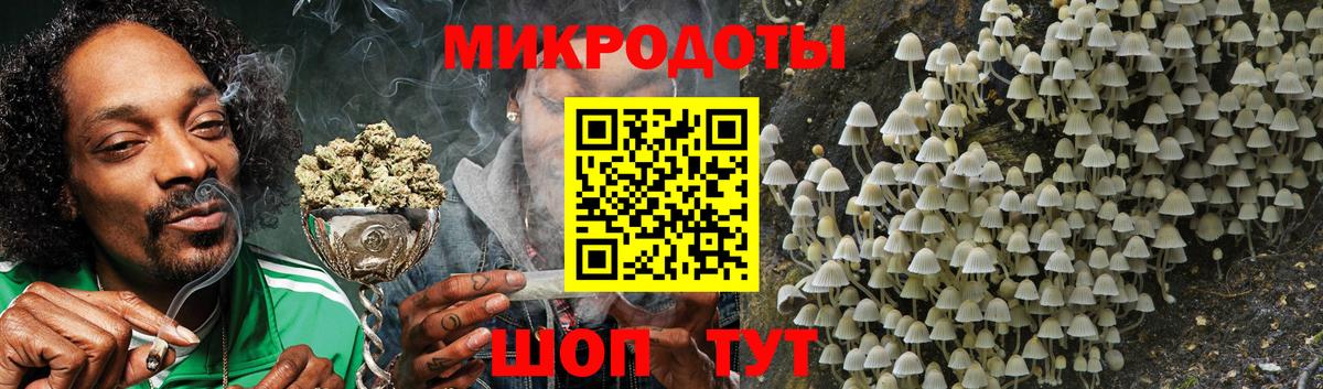 Галлюциногенные грибы мицелий  Псилоцибиновые грибы мицелий  Вход с VPN  Карачаевск 