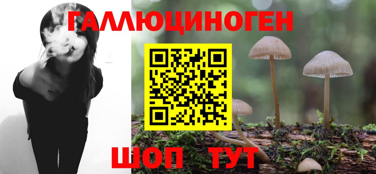 Галлюциногенные грибы ЛСД Карачаевск